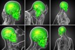 3d Rendering  Medical Illustration Of The Skull Stock Photo
