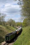 Flying Scotsman On The Bluebell Line Stock Photo