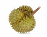 Durian Isolated On The White Background Stock Photo
