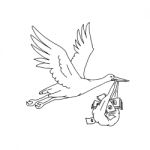 Stork Delivering Money Bag Drawing Stock Photo