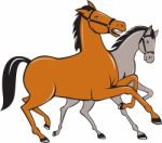 Two Horses Prancing Side Cartoon Stock Photo