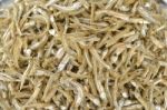 Dried Anchovies Stock Photo