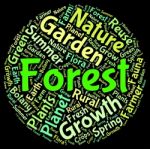 Forest Word Indicates Copse Copice And Text Stock Photo