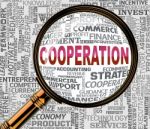 Cooperation Magnifier Indicates Team Work And Collaborate Stock Photo