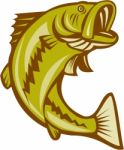 Largemouth Bass Jumping Cartoon Stock Photo