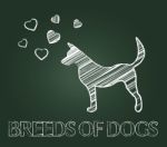 Breeds Of Dogs Indicates Canine Reproduce And Pet Stock Photo