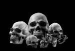 Skulls With A Black And White Image Stock Photo