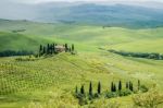Farmland Below Pienza In Tuscany Stock Photo
