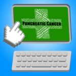Pancreatic Cancer Indicates Cancerous Growth And Adenocarcinoma Stock Photo