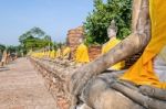 Row Of Buddha Statue Stock Photo