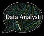 Data Analyst Shows Analyser Words And Analysts Stock Photo