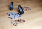 Women's Clothes Lying On The Floor Stock Photo