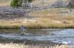 Fairy Creek, Yellowstone/usa - September 28 : Fly Fishing In Fai Stock Photo