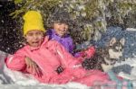 Two Little Girls Playing In The Snow With Husky Dog Stock Photo