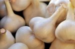 Fresh Garlic Stock Photo