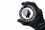 Hand In Black Glove Holding Large Silver Dollars Coin Stock Photo