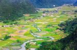 Rice Field In Valley In Bac Son, Vietnam Stock Photo