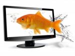 3D Television Stock Photo