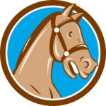 Horse Head Bridle Circle Cartoon Stock Photo