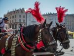 Decorated Horses In Krakow Stock Photo