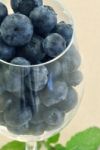 Blueberries In Glass Stock Photo