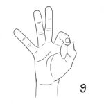 Sign Language,number 9 Stock Photo