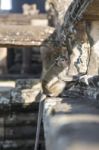 Long-tailed Macaque Monkey Sitting On Ancient Ruins Of Angkor Wa Stock Photo