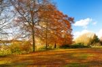 Autumn Scenic Hill Stock Photo