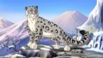 Snow Leopard Image Stock Photo