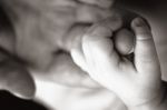 Baby Hand Holding Mother's Finger Stock Photo