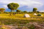 Camp Ground Near Kasane In Botswana Stock Photo