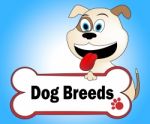 Dog Breeds Shows Purebred Pets And Pet Stock Photo