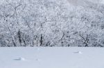 Deogyusan Mountains Is Covered By Snow In Winter,south Korea Stock Photo