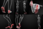 3d Rendering Illustration Of The Foot Bone Stock Photo