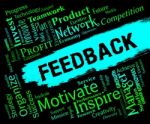 Feedback Words Represents Grading Evaluation And Rating Stock Photo