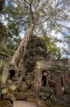 Angkor Ta Prohm In Cambodia Stock Photo