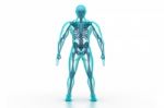 Human Body And Skeleton Stock Photo