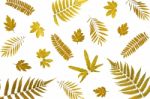 Background By Yellow Leaves And Orange Leaves And Dry Leaves And Flower Stock Photo