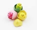 Easter Chicks Stock Photo