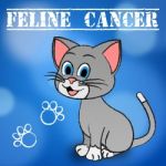 Feline Cancer Represents Malignant Growth And Cat Stock Photo