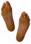 Female Feet Stock Photo