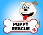 Puppy Rescue Shows Saving Purebred And Canine Stock Photo