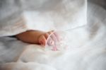 New Born Baby Hand Holding Pacifier Stock Photo