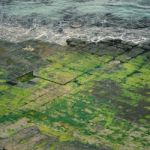 Tessellated Pavement In Pirates Bay Stock Photo