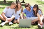 Young Boys And Girl Students Using Laptop Stock Photo