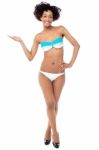 Glamorous Woman In Swimwear Presenting Copy Space Stock Photo