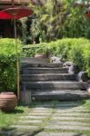 Green Garden Pathway In Summer Stock Photo