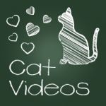 Cat Videos Represents Audio Visual And Cats Stock Photo