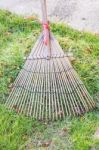 Cleaning Dried Grass And Leaf In The Garden By Rake (harrow) Stock Photo