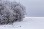 Snowy Winter Forest In January Stock Photo